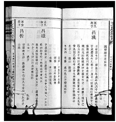 [下载][王氏宗谱_23卷首1卷]福建.王氏家谱_八.pdf