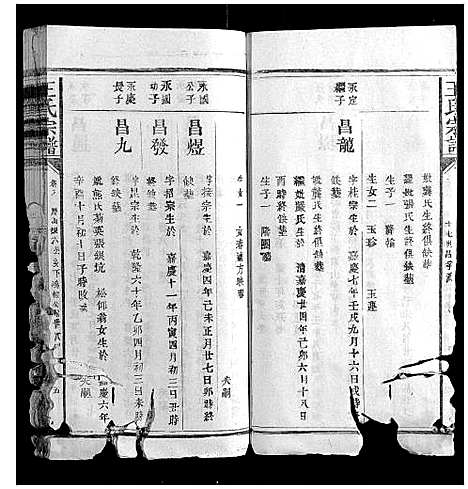 [下载][王氏宗谱_23卷首1卷]福建.王氏家谱_八.pdf