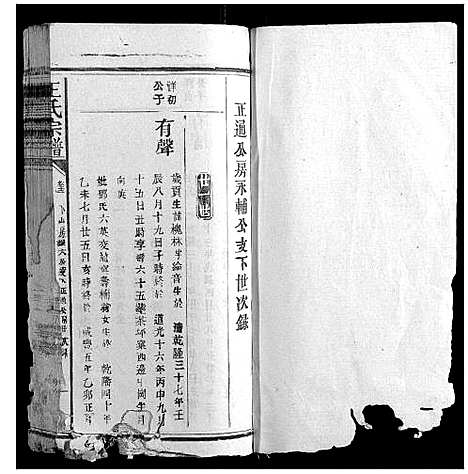 [下载][王氏宗谱_23卷首1卷]福建.王氏家谱_九.pdf