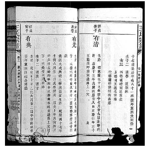 [下载][王氏宗谱_23卷首1卷]福建.王氏家谱_九.pdf