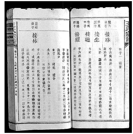 [下载][王氏宗谱_23卷首1卷]福建.王氏家谱_十一.pdf