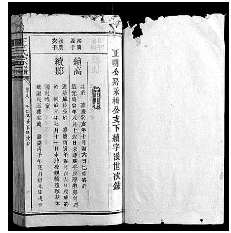 [下载][王氏宗谱_23卷首1卷]福建.王氏家谱_十二.pdf