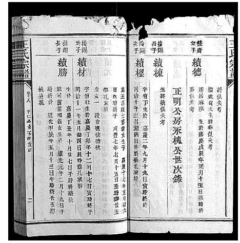 [下载][王氏宗谱_23卷首1卷]福建.王氏家谱_十二.pdf