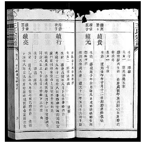 [下载][王氏宗谱_23卷首1卷]福建.王氏家谱_十二.pdf