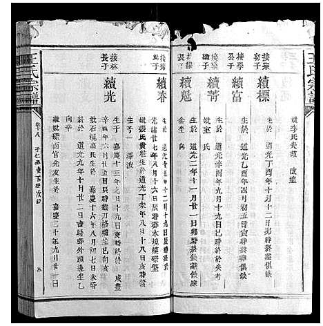 [下载][王氏宗谱_23卷首1卷]福建.王氏家谱_十二.pdf