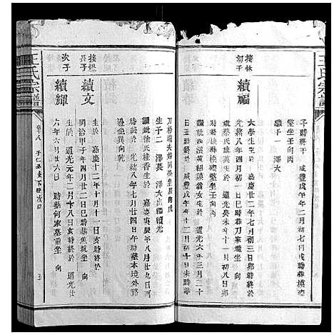 [下载][王氏宗谱_23卷首1卷]福建.王氏家谱_十二.pdf