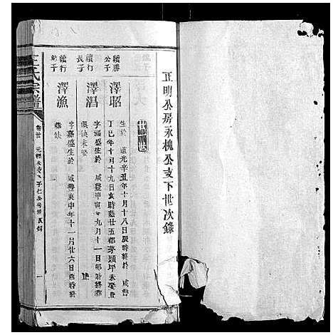 [下载][王氏宗谱_23卷首1卷]福建.王氏家谱_十三.pdf