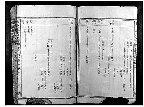 [下载][赤下王氏宗谱]福建.赤下王氏家谱.pdf