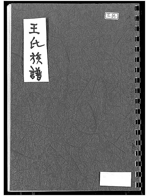 [下载][王氏族谱]福建.王氏家谱_一.pdf