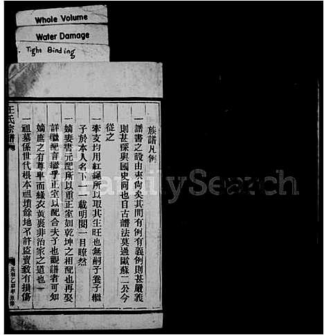 [下载][王氏宗谱]福建.王氏家谱_一.pdf