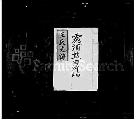 [下载][王氏家乘]福建.王氏家乘.pdf