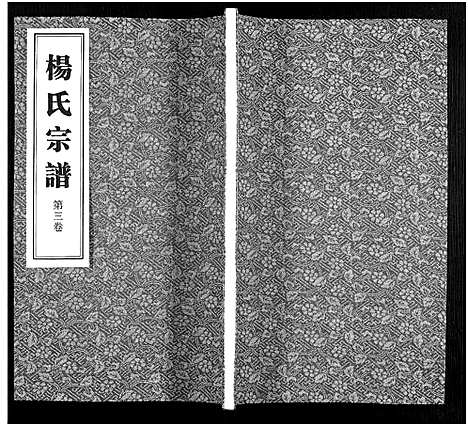 [下载][杨氏宗谱_11卷]福建.杨氏家谱_三.pdf