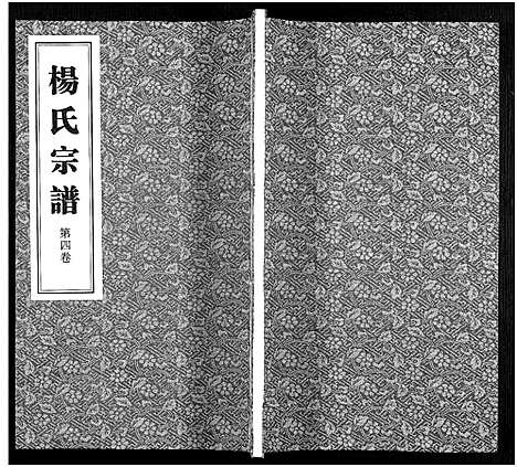 [下载][杨氏宗谱_11卷]福建.杨氏家谱_四.pdf