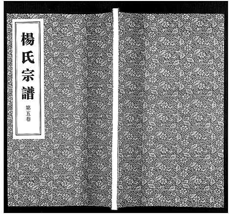 [下载][杨氏宗谱_11卷]福建.杨氏家谱_五.pdf