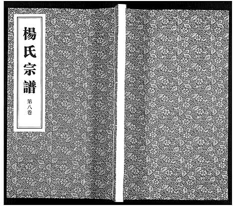 [下载][杨氏宗谱_11卷]福建.杨氏家谱_八.pdf