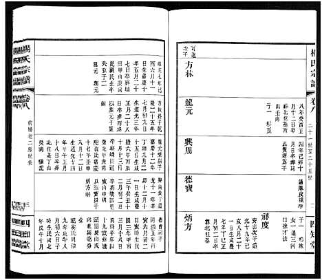 [下载][杨氏宗谱_11卷]福建.杨氏家谱_八.pdf