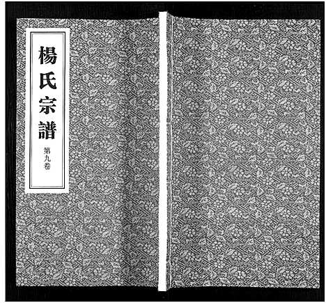 [下载][杨氏宗谱_11卷]福建.杨氏家谱_九.pdf