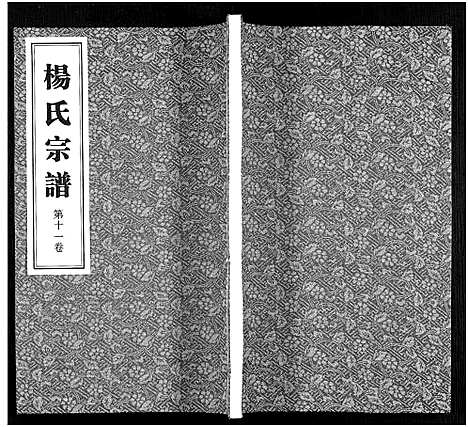 [下载][杨氏宗谱_11卷]福建.杨氏家谱_十一.pdf