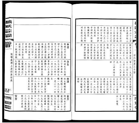 [下载][杨氏宗谱_11卷]福建.杨氏家谱_十一.pdf