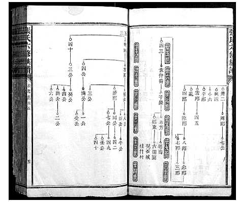 [下载][张氏六修族谱]福建.张氏六修家谱_一.pdf