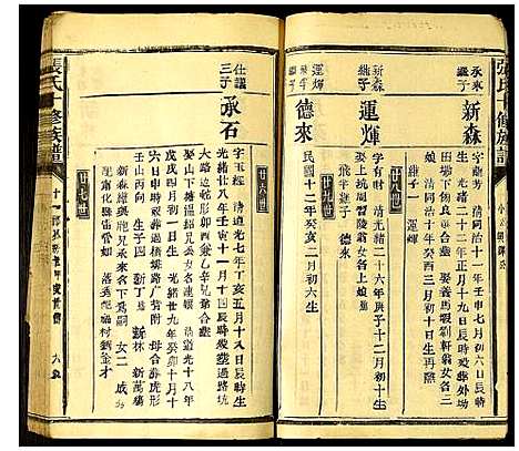 [下载][张氏十修族谱]福建.张氏十修家谱_十.pdf