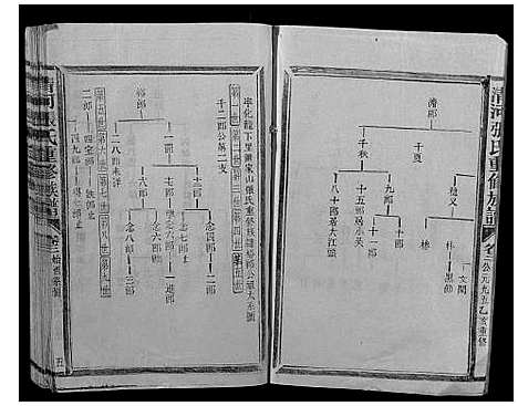 [下载][清河张氏族谱]福建.清河张氏家谱_二.pdf