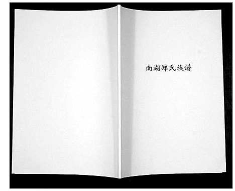 [下载][南湖郑氏族谱_不分卷]福建.南湖郑氏家谱.pdf