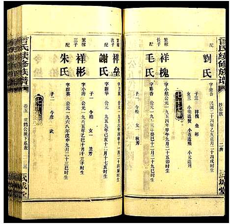 [下载][团田曾氏续修族谱_76卷_别1卷首4卷_外系5卷]湖南.团田曾氏续修家谱_九.pdf