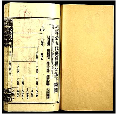 [下载][团田曾氏续修族谱_76卷_别1卷首4卷_外系5卷]湖南.团田曾氏续修家谱_十.pdf