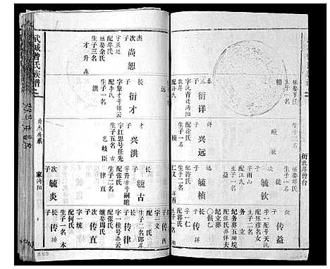 [下载][武城曾氏续谱_28卷首1卷]湖南.武城曾氏续谱_九.pdf