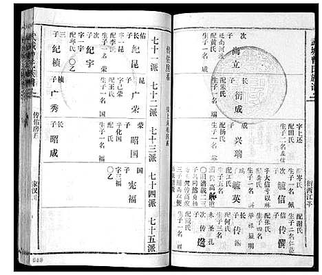 [下载][武城曾氏续谱_28卷首1卷]湖南.武城曾氏续谱_十.pdf