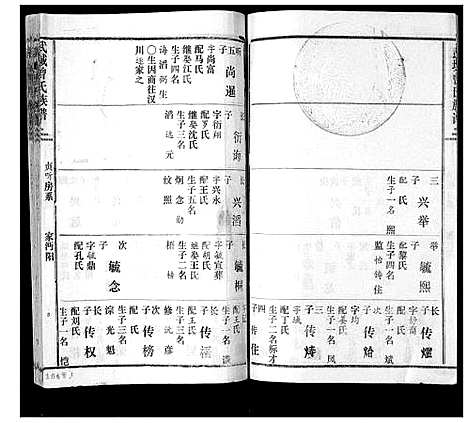 [下载][武城曾氏续谱_28卷首1卷]湖南.武城曾氏续谱_二十二.pdf