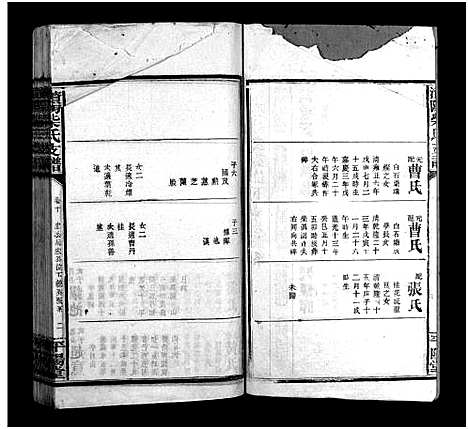 [下载][柴氏支谱_10卷含首1卷_末1卷_澬阳柴氏四修支谱_澬阳柴氏支谱]湖南.柴氏支谱_九.pdf