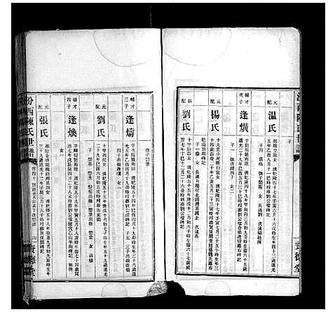 [下载][汾西陈氏世谱_51卷首1卷]湖南.汾西陈氏世谱_十四.pdf