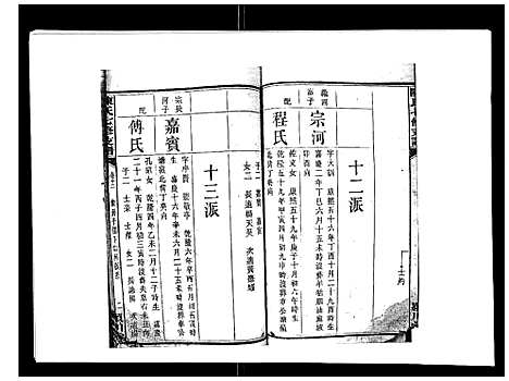 [下载][陈氏七修支谱_20卷首末各1卷]湖南.陈氏七修支谱_十一.pdf