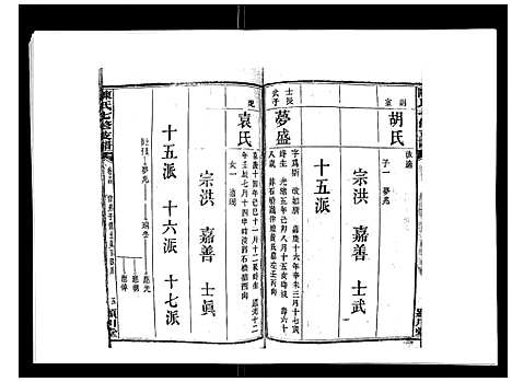 [下载][陈氏七修支谱_20卷首末各1卷]湖南.陈氏七修支谱_十三.pdf