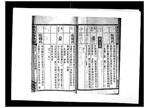 [下载][陈氏四修族谱_22卷]湖南.陈氏四修家谱_十五.pdf