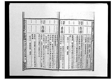 [下载][鵆山大泉陈氏十一修族谱_43卷首1卷]湖南.鵆山大泉陈氏十一修家谱_二十.pdf