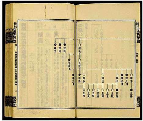 [下载][桃林陈氏四修族谱_残卷_桃林陈氏四修族谱康房房谱_桃林陈氏四修族谱]湖南.桃林陈氏四修家谱_六.pdf