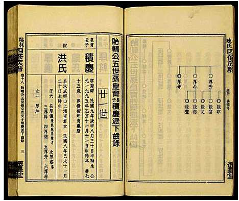 [下载][桃林陈氏四修族谱_残卷_桃林陈氏四修族谱康房房谱_桃林陈氏四修族谱]湖南.桃林陈氏四修家谱_八.pdf