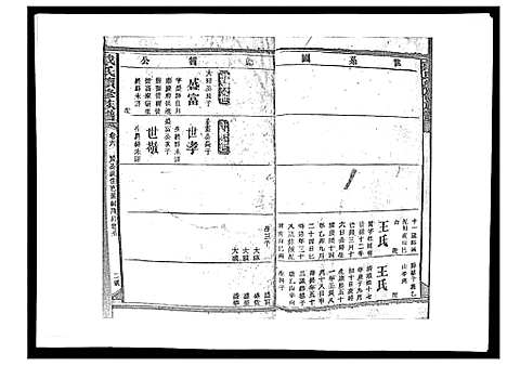 [下载][戴氏九修族谱]湖南.戴氏九修家谱_九.pdf