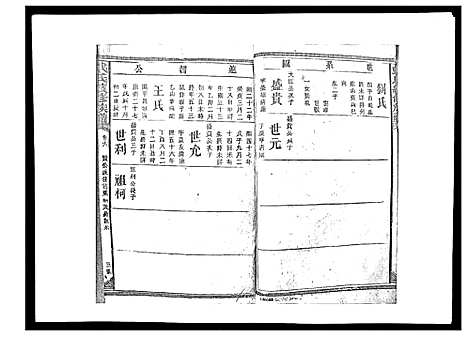 [下载][戴氏九修族谱]湖南.戴氏九修家谱_九.pdf