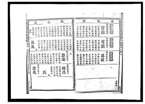 [下载][戴氏九修族谱]湖南.戴氏九修家谱_二十七.pdf