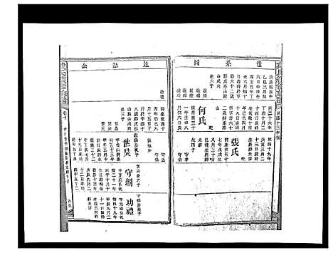 [下载][戴氏九修族谱]湖南.戴氏九修家谱_三十一.pdf