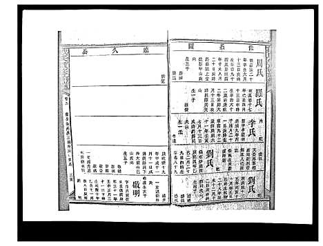 [下载][戴氏九修族谱]湖南.戴氏九修家谱_四十.pdf