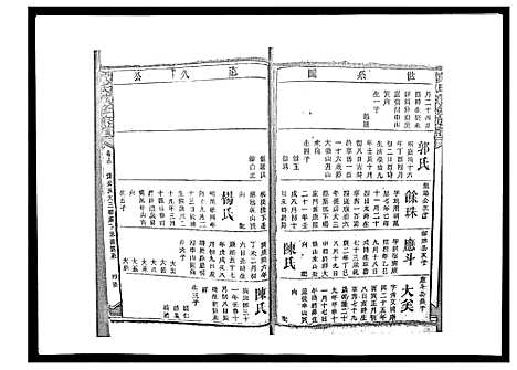 [下载][戴氏九修族谱]湖南.戴氏九修家谱_四十九.pdf