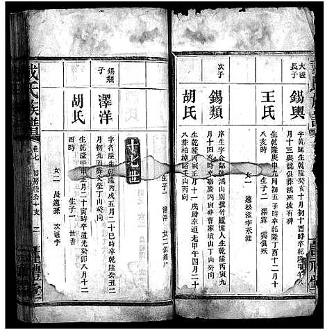 [下载][戴氏族谱_33卷]湖南.戴氏家谱_六.pdf