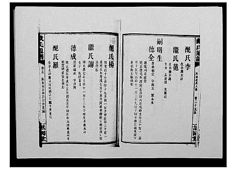 [下载][戴氏通谱世系_世系12卷_世编78卷首4卷]湖南.戴氏通谱_二十一.pdf