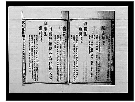 [下载][戴氏通谱世系_世系12卷_世编78卷首4卷]湖南.戴氏通谱_二十八.pdf