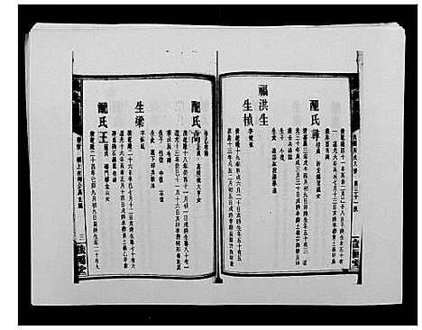 [下载][戴氏通谱世系_世系12卷_世编78卷首4卷]湖南.戴氏通谱_三十九.pdf